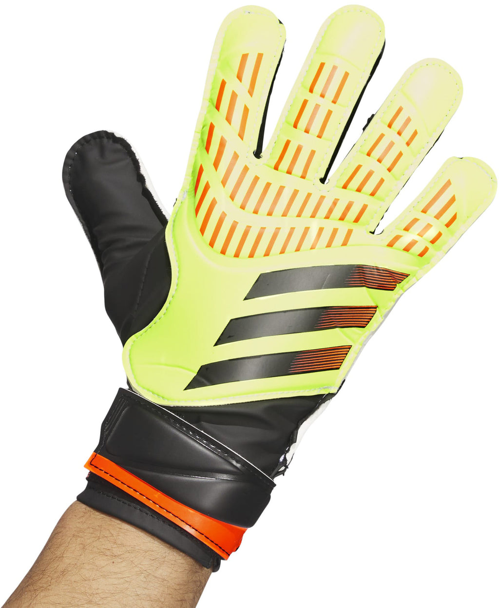 Predator Training keepershandschoenen