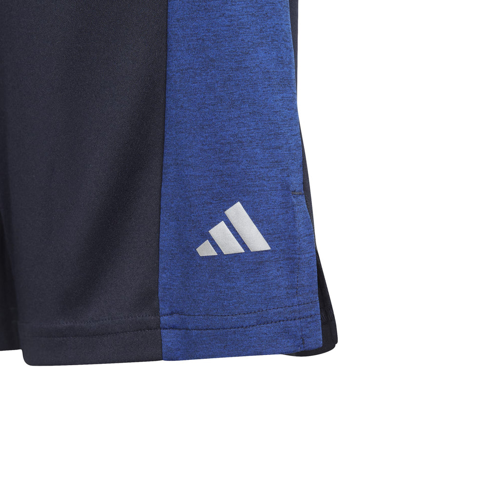 Training AEROREADY Heather short
