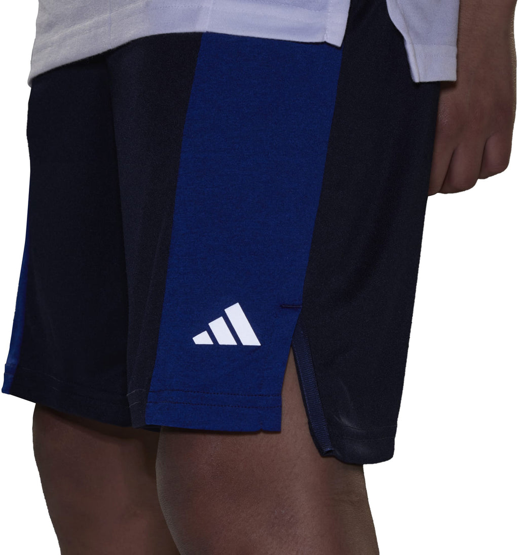 Training AEROREADY Heather short