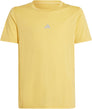 Training AEROREADY t-shirt