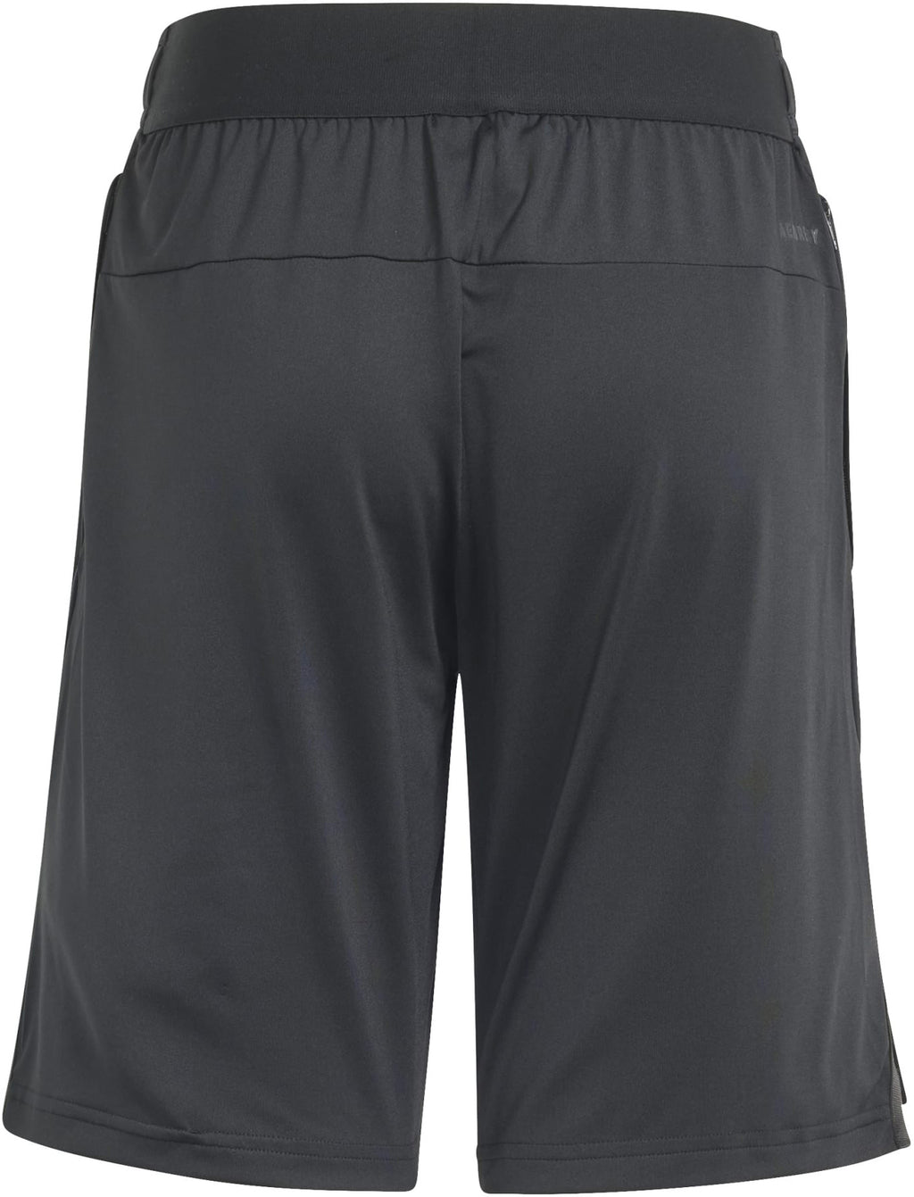 Training AEROREADY short
