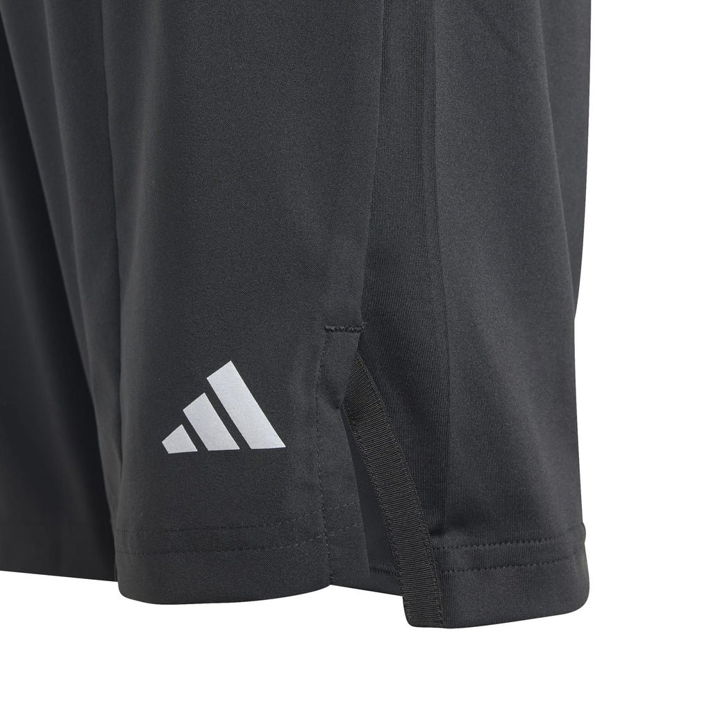 Training AEROREADY short