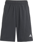 Training AEROREADY short