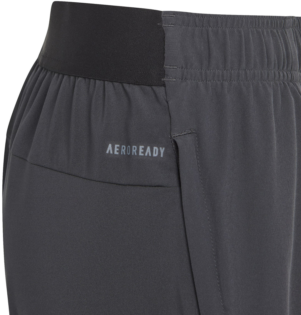 Training AEROREADY short