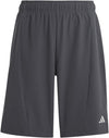 Training AEROREADY short