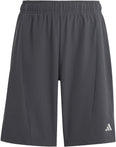 Training AEROREADY short