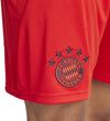 FC Bayern München thuisshort 24/25