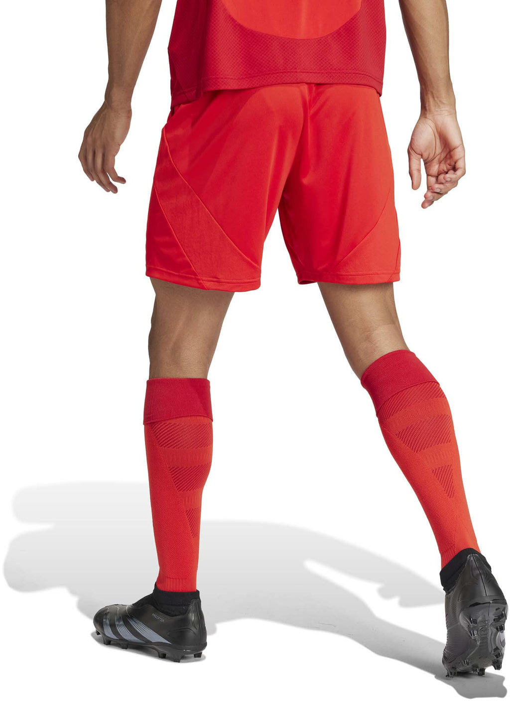 FC Bayern München thuisshort 24/25