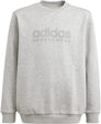 ALL SZN Graphic sweatshirt