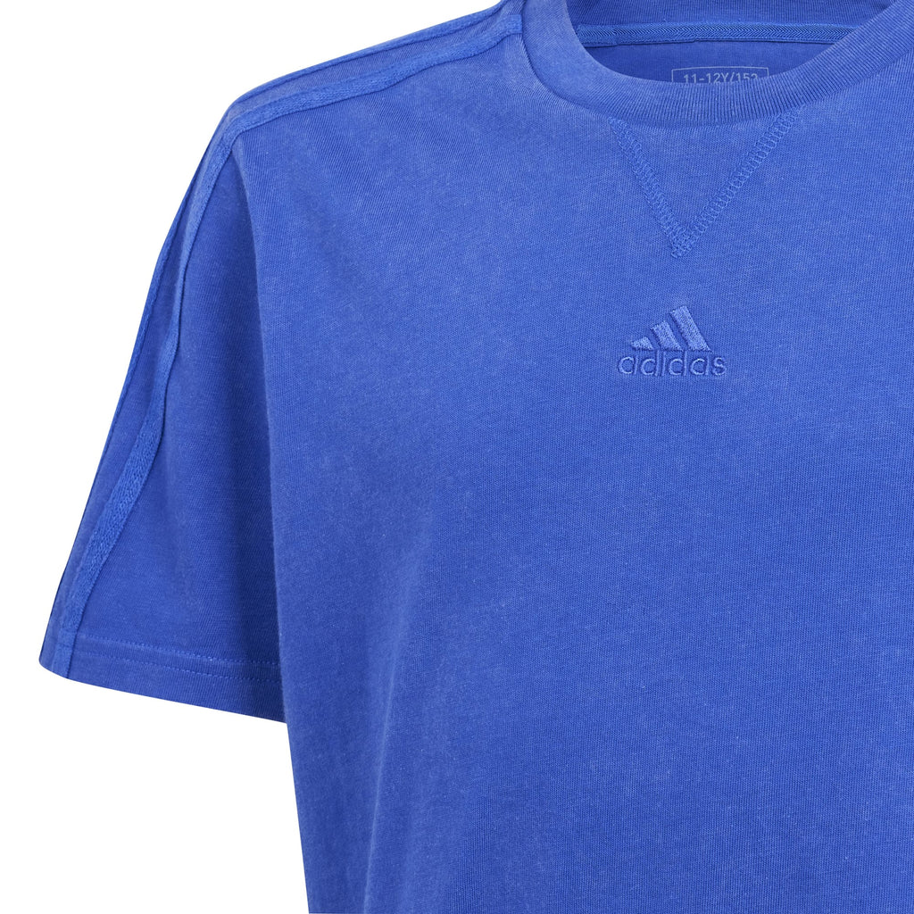 ALL SZN Washed t-shirt