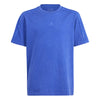 ALL SZN Washed t-shirt