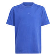 ALL SZN Washed t-shirt