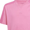 ALL SZN Washed t-shirt
