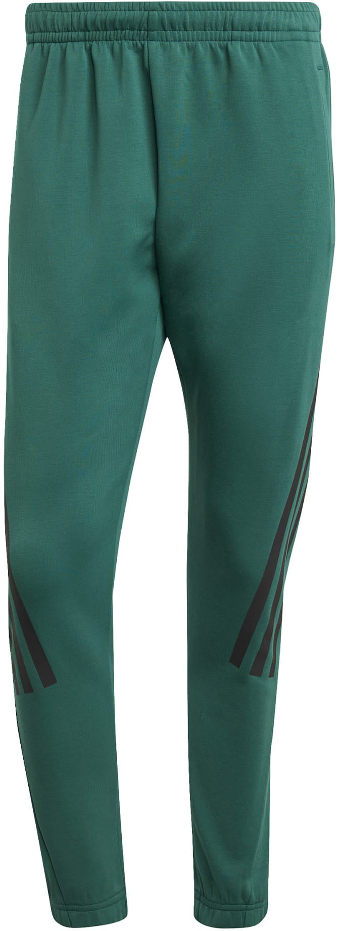 Future Icons 3-Stripes broek