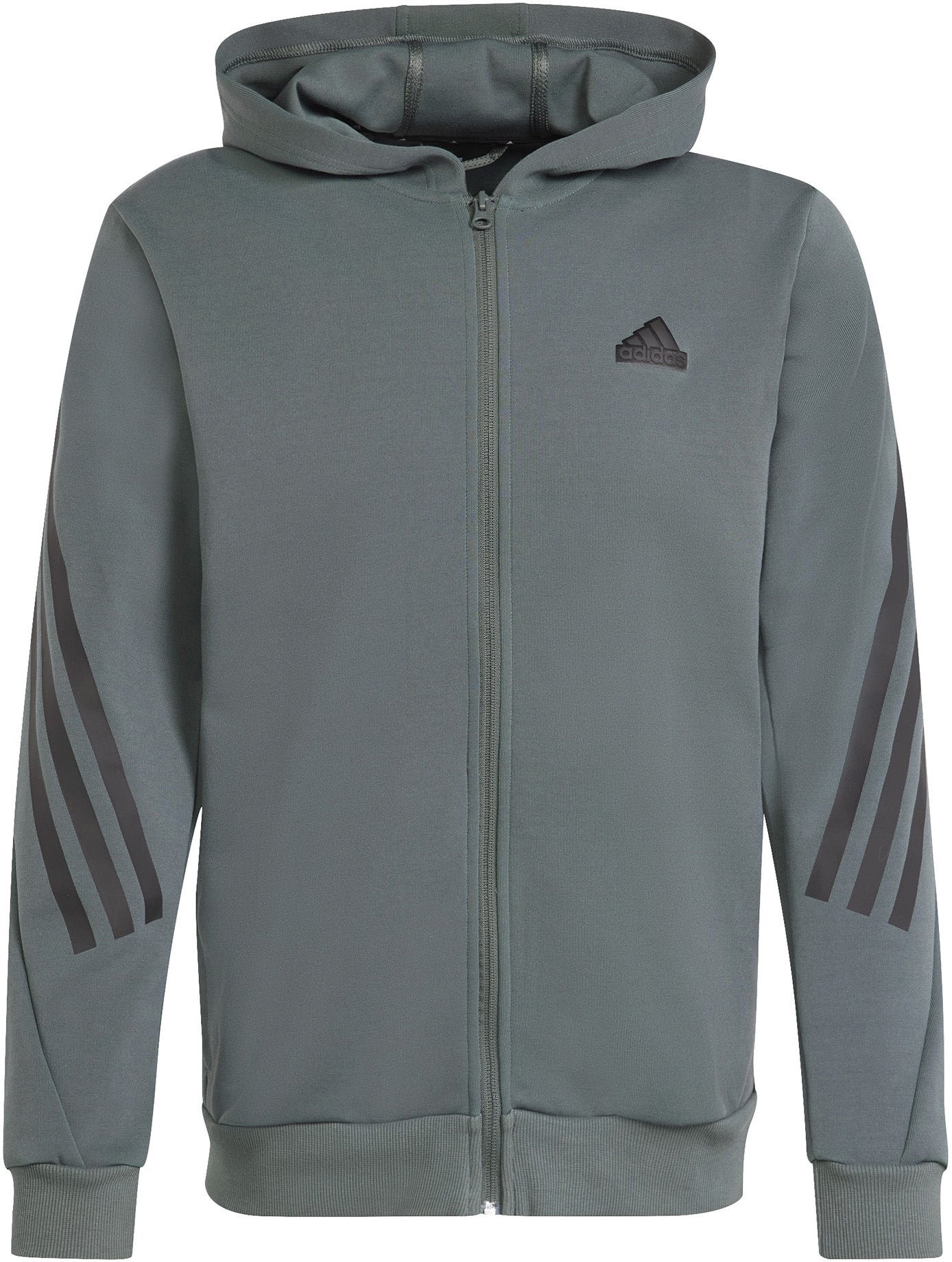 Future Icons 3-Stripes ritshoodie