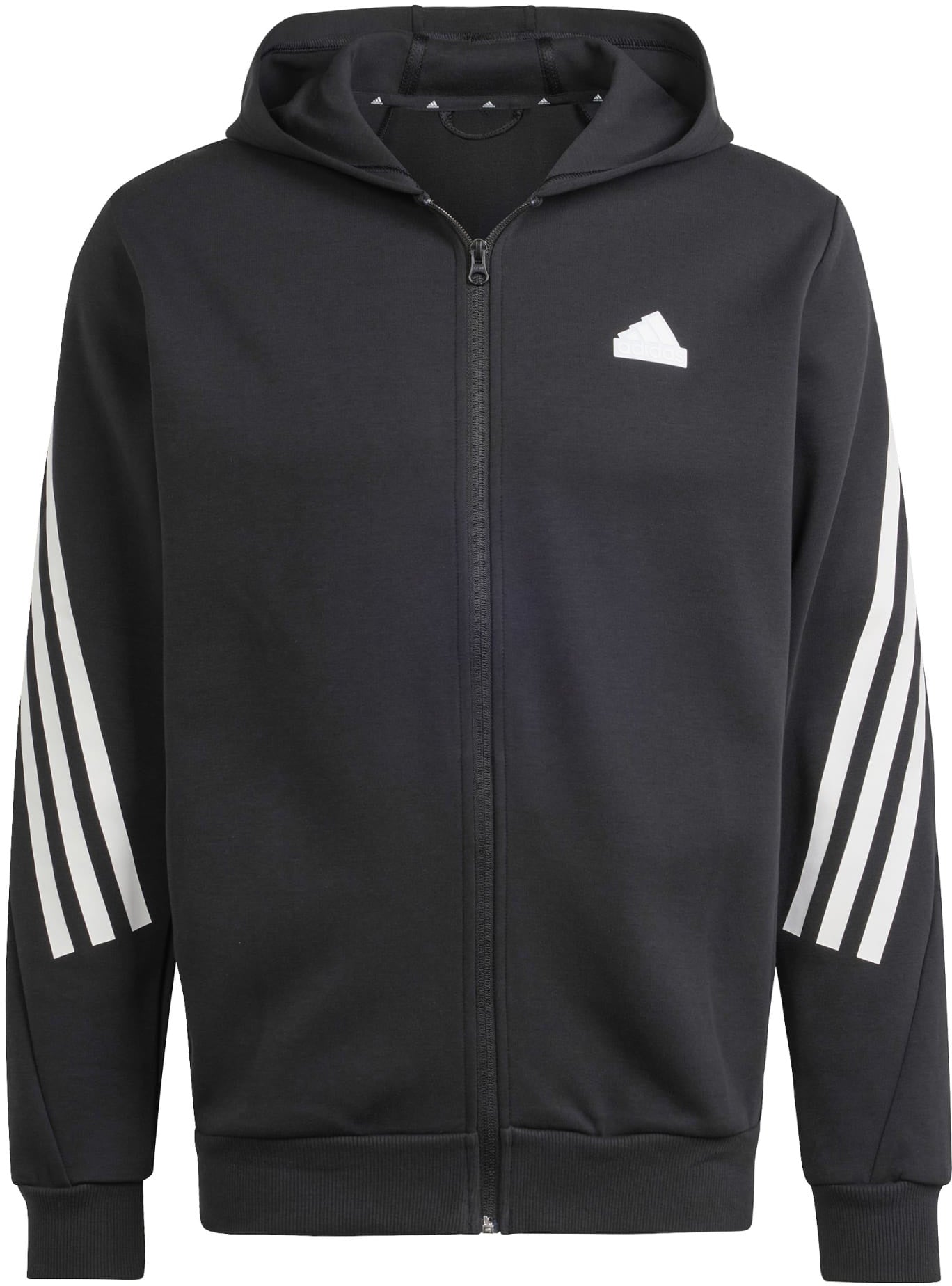 Future Icons 3-Stripes ritshoodie