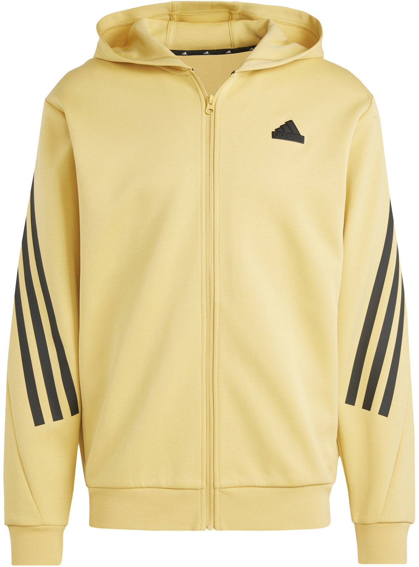 Future Icons 3-Stripes ritshoodie