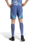 Ajax Amsterdam 24/25 uitshort