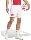 Ajax Amsterdam thuisshort 24/25
