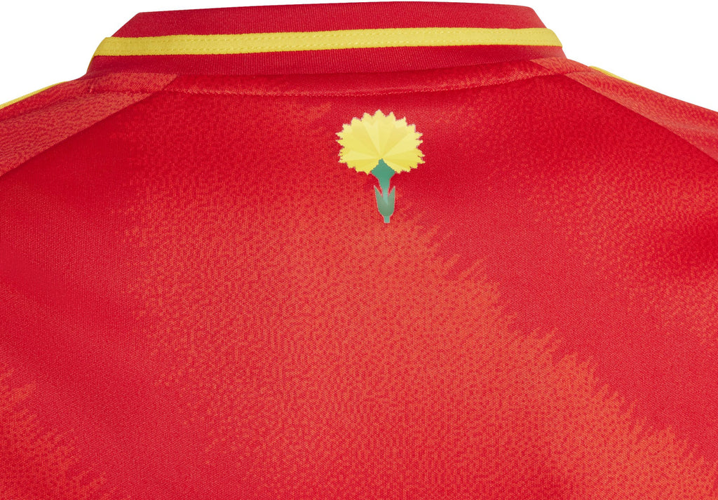 Spanje 24 kids thuisshirt