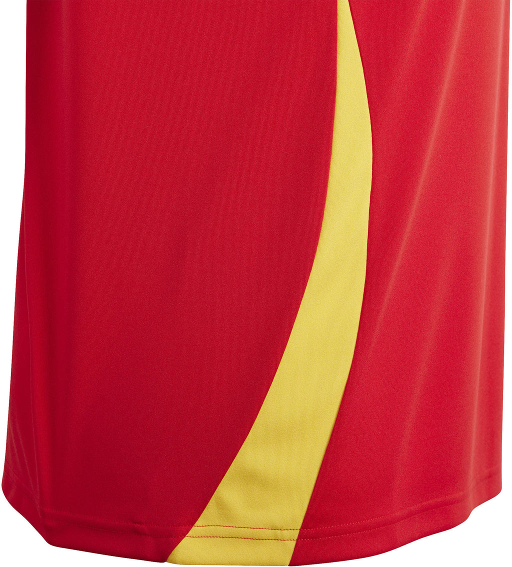 Spanje Fan thuisshirt