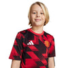 Manchester United 25/26 Pre-Match jersey