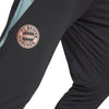 FC Bayern München Tiro 24 Training broek