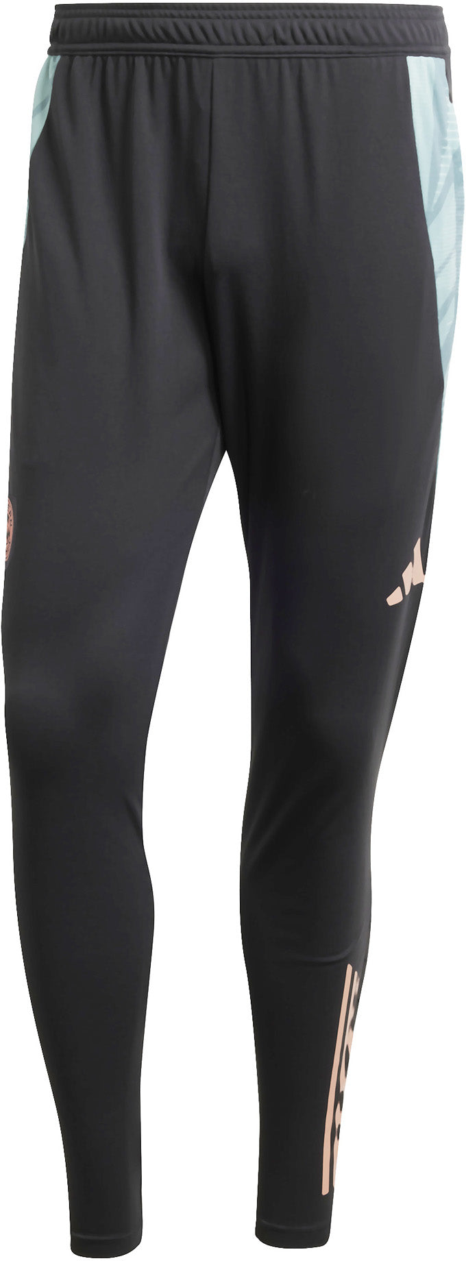 FC Bayern München Tiro 24 Training broek