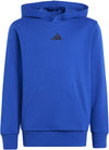 Essentials kids hoodie