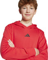 Essentials kids hoodie