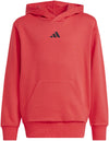 Essentials kids hoodie
