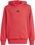 Essentials kids hoodie