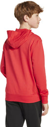 Essentials kids hoodie
