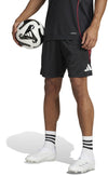 Ajax Amsterdam Tiro 25 Competition Training short
