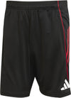 Ajax Amsterdam Tiro 25 Competition Training short