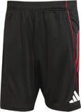 Ajax Amsterdam Tiro 25 Competition Training short