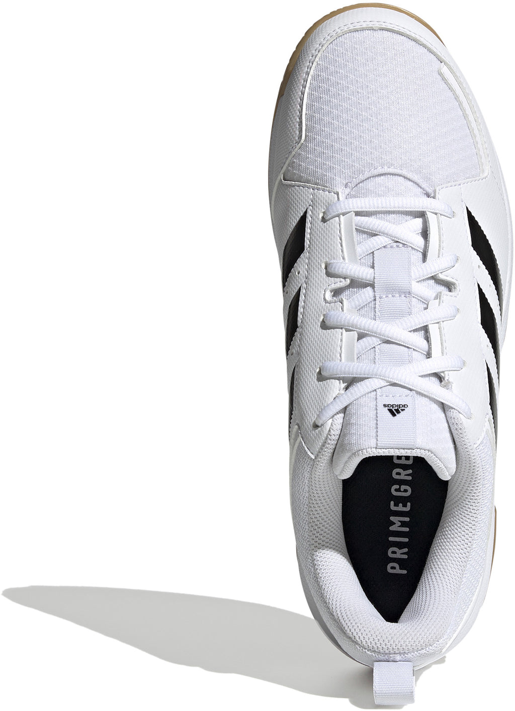 Ligra 7 zaalschoenen