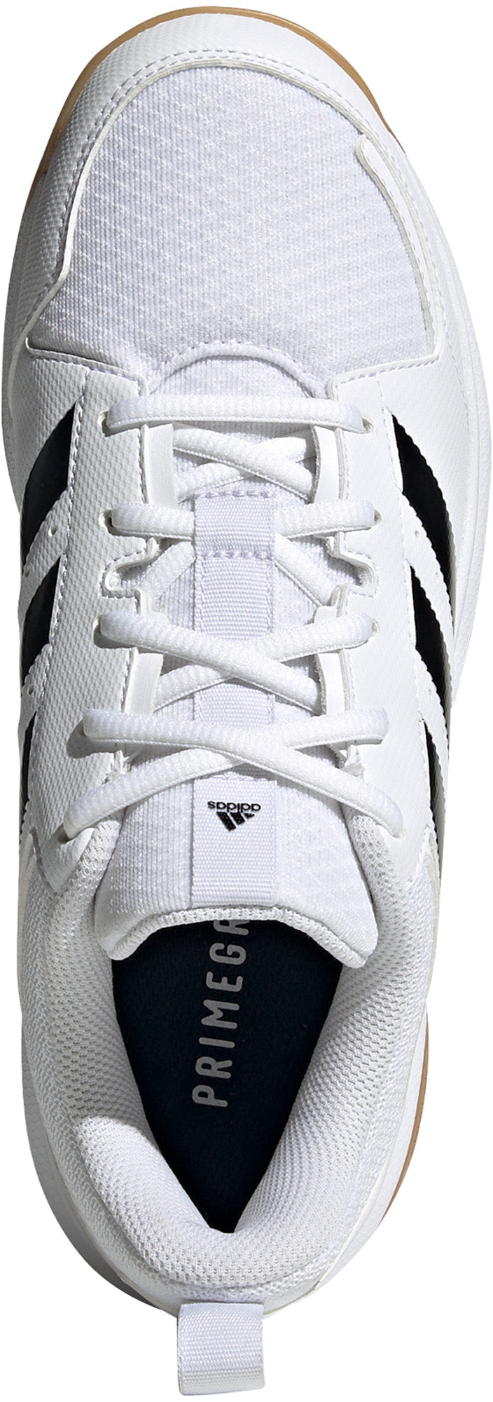 Ligra 7 zaalschoenen