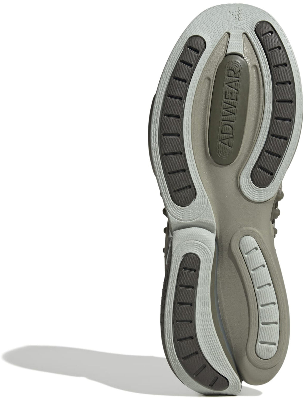 Alphaboost V1 schoenen