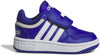 Hoops sneakers