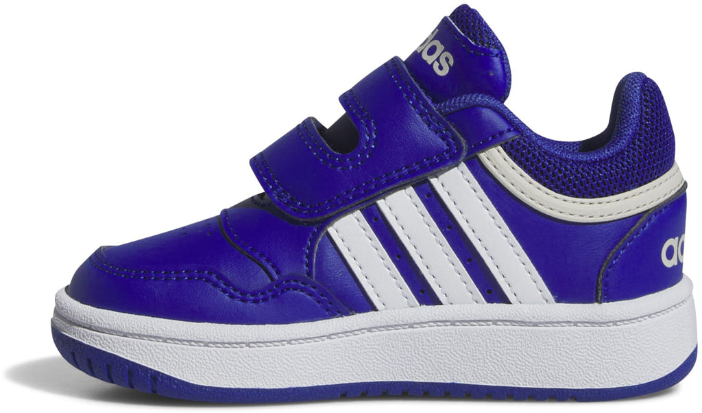 Hoops sneakers