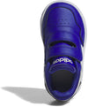 Hoops sneakers