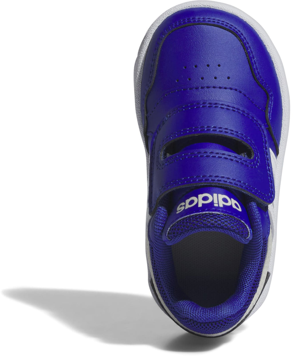 Hoops sneakers