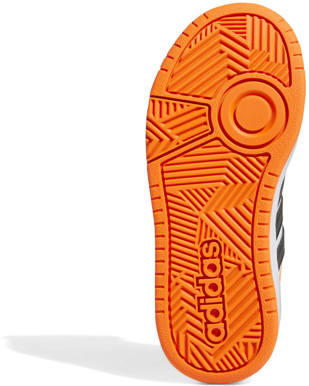Hoops sneakers