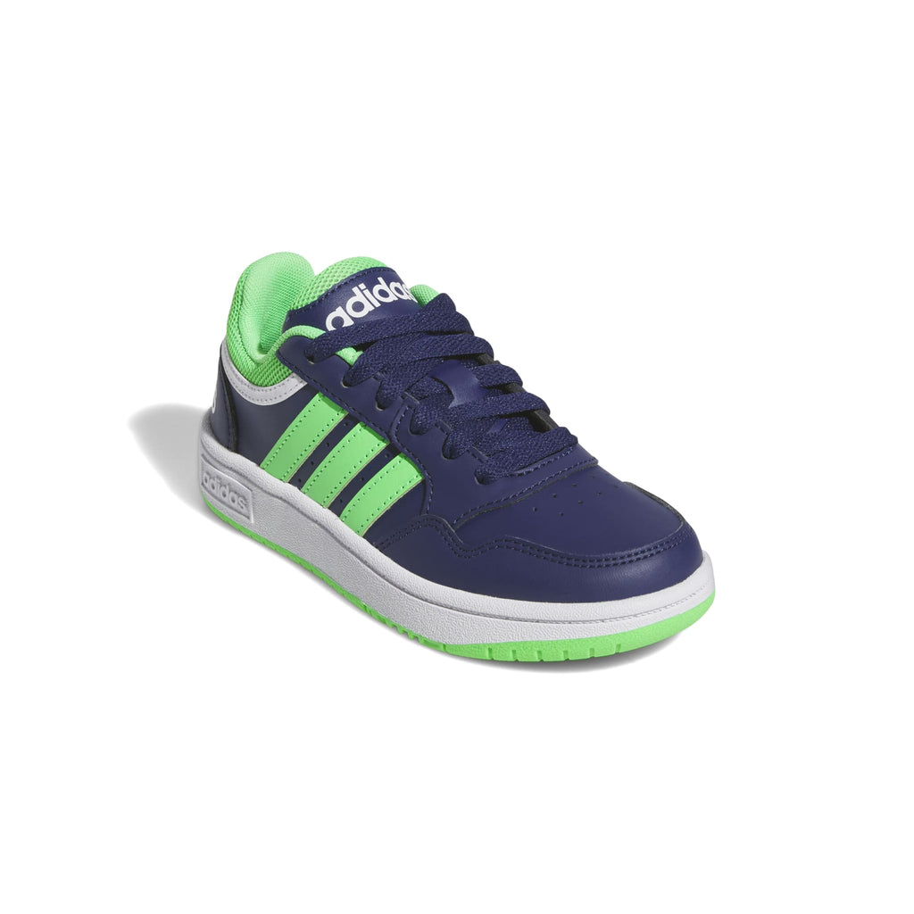 Hoops sneakers