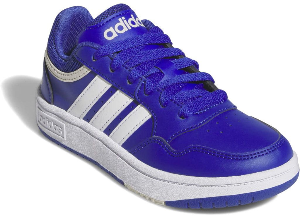 Hoops sneakers