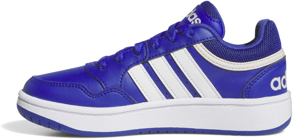 Hoops sneakers