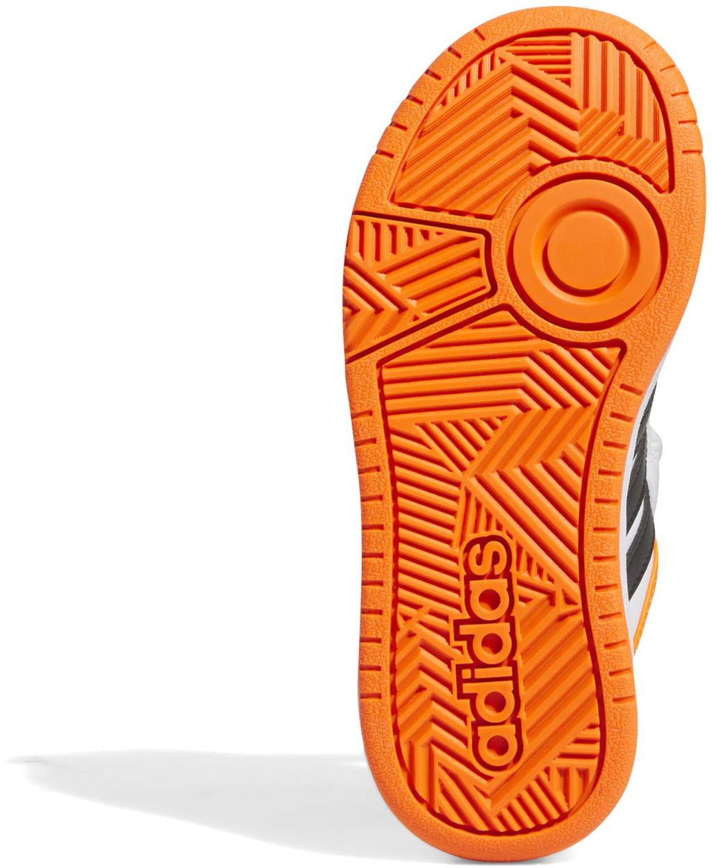 Hoops sneakers