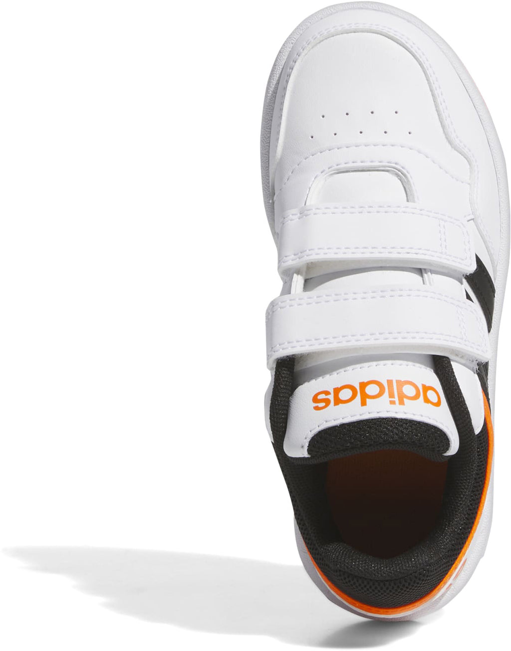 Hoops sneakers