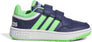 Hoops sneakers